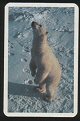 Full Images will open in a new window to return to playing cards catalogue 