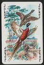 Full Images of playing cards will open in a new window to return to catalogue close window 