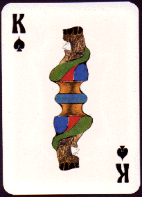 Link to playing cards image 