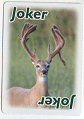 Full Images will open in a new window to return toplaying cards catalogue close window 